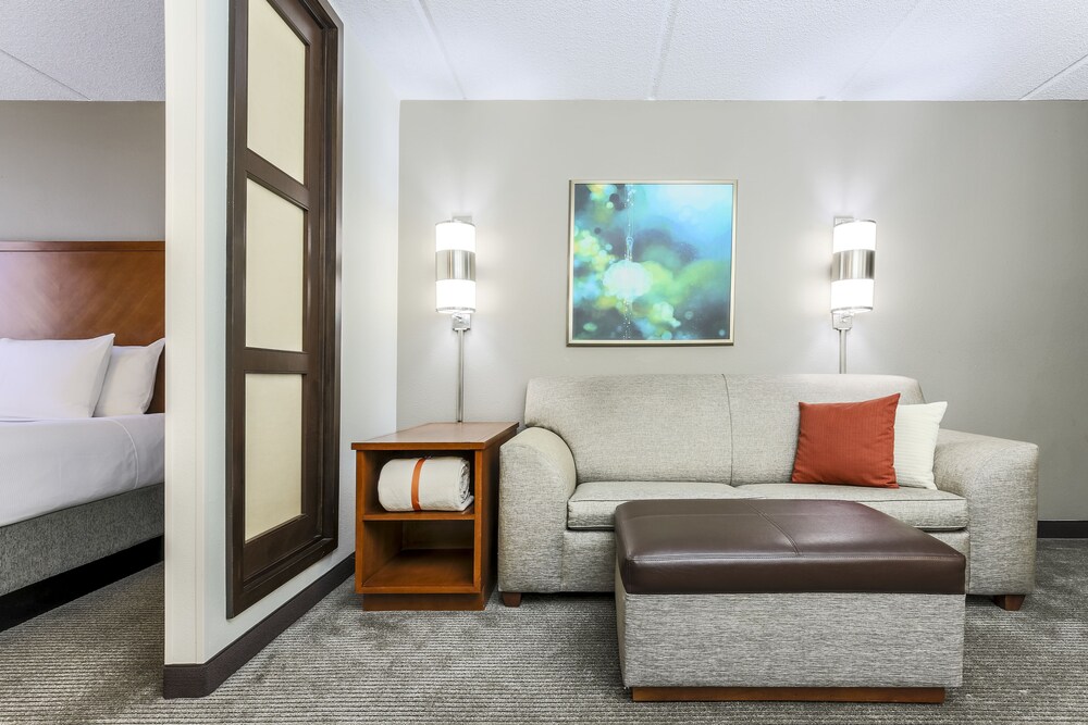 Hyatt Place Fort Worth Hurst - photo 10