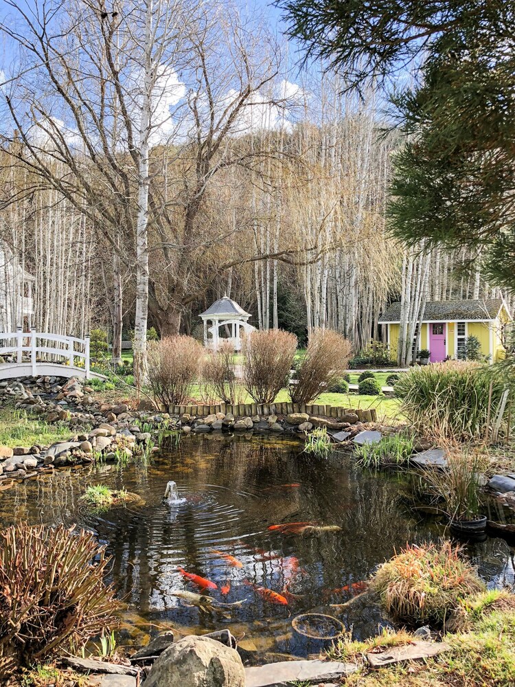 Lithia Springs Resort - photo 51