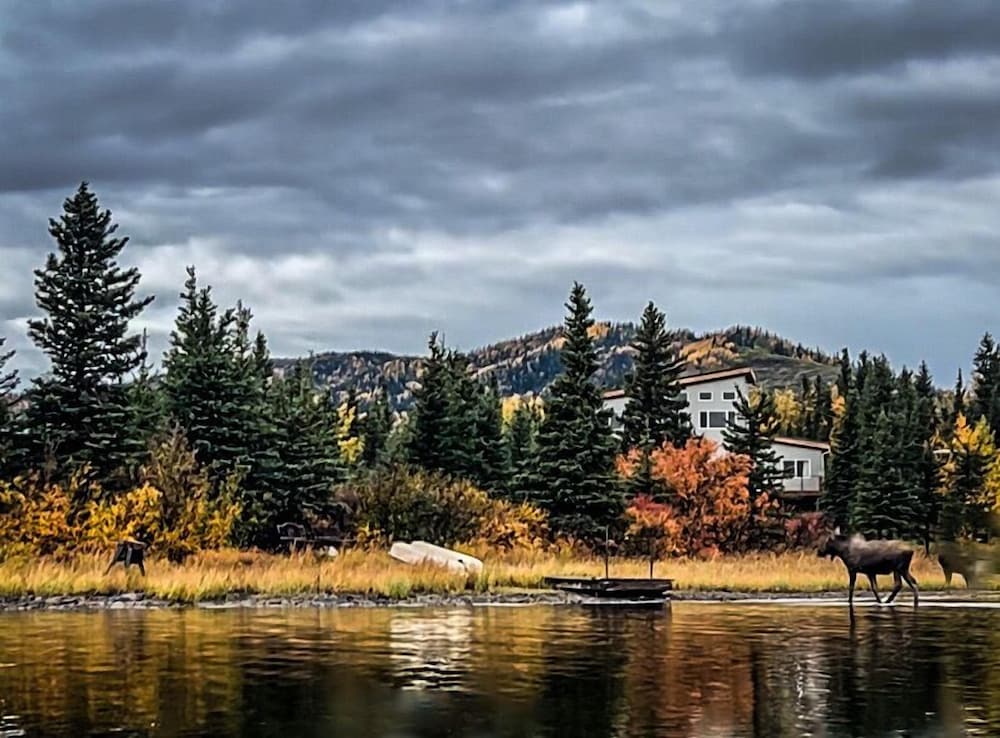 Denali Lakeview Inn - photo 31