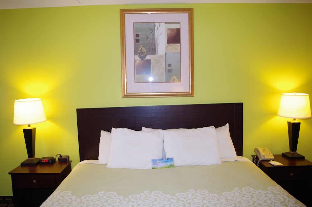 Days Hotel & Conference Center by Wyndham Danville - photo 8