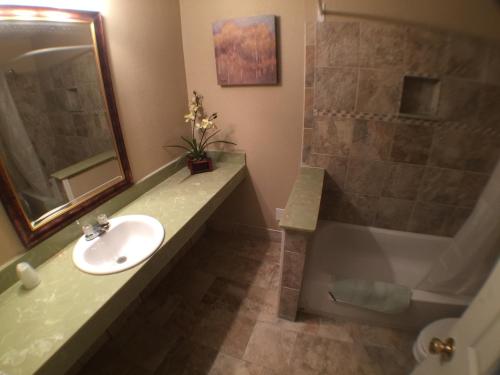 Austin Motor Inn - photo 35
