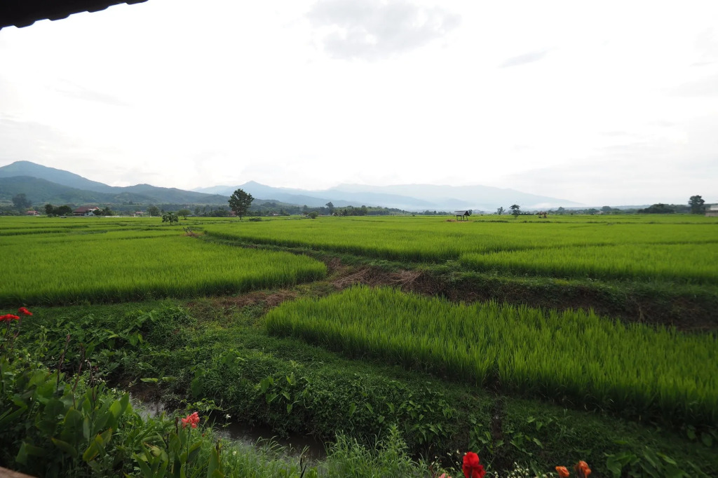 Pang Chompu in Pua, Thailand