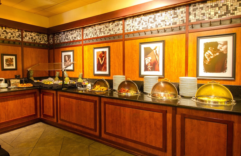 Holiday Inn Chicago O'Hare Area by IHG - photo 53