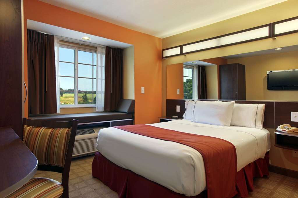 Microtel Inn & Suites by Wyndham Anderson Clemson - photo 15