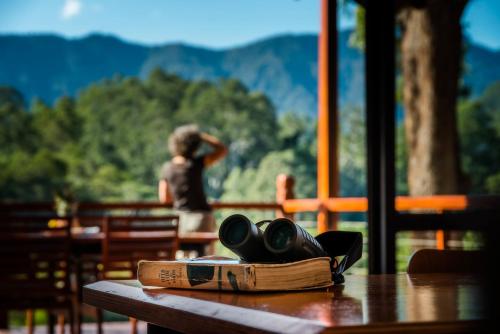Promised Land Retreat — Bellingen — photo 2