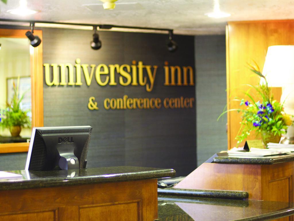 University Inn - photo 15