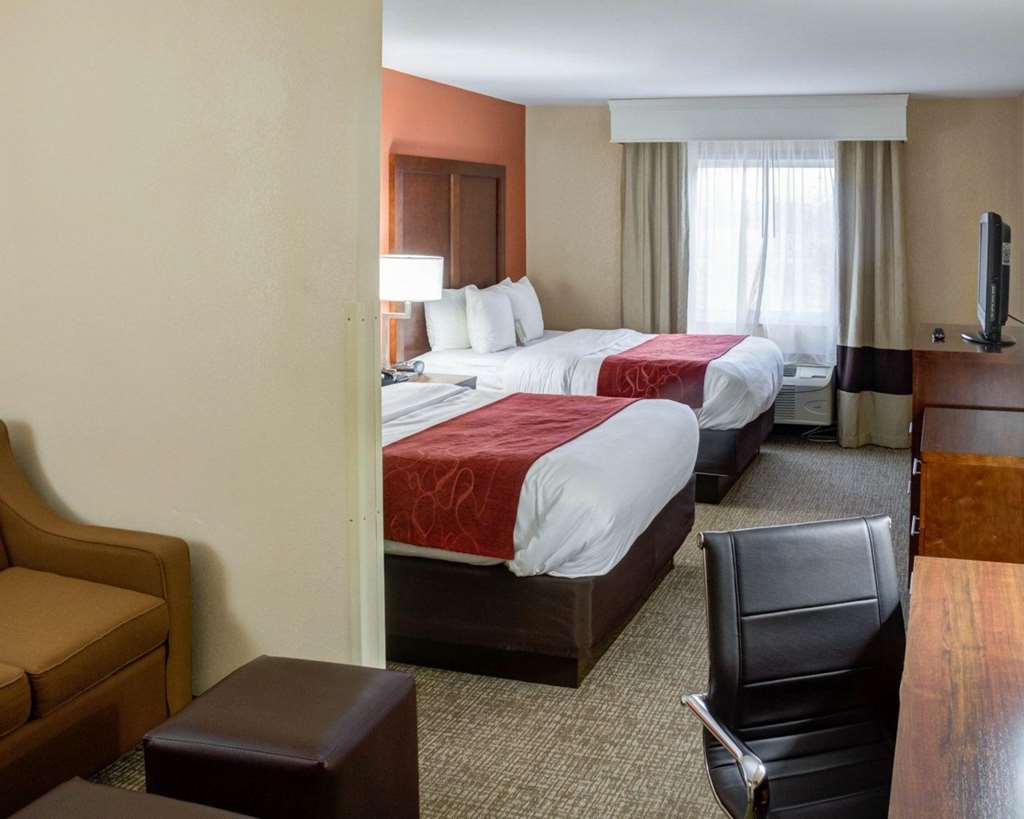 Comfort Suites Omaha Northwest - photo 7