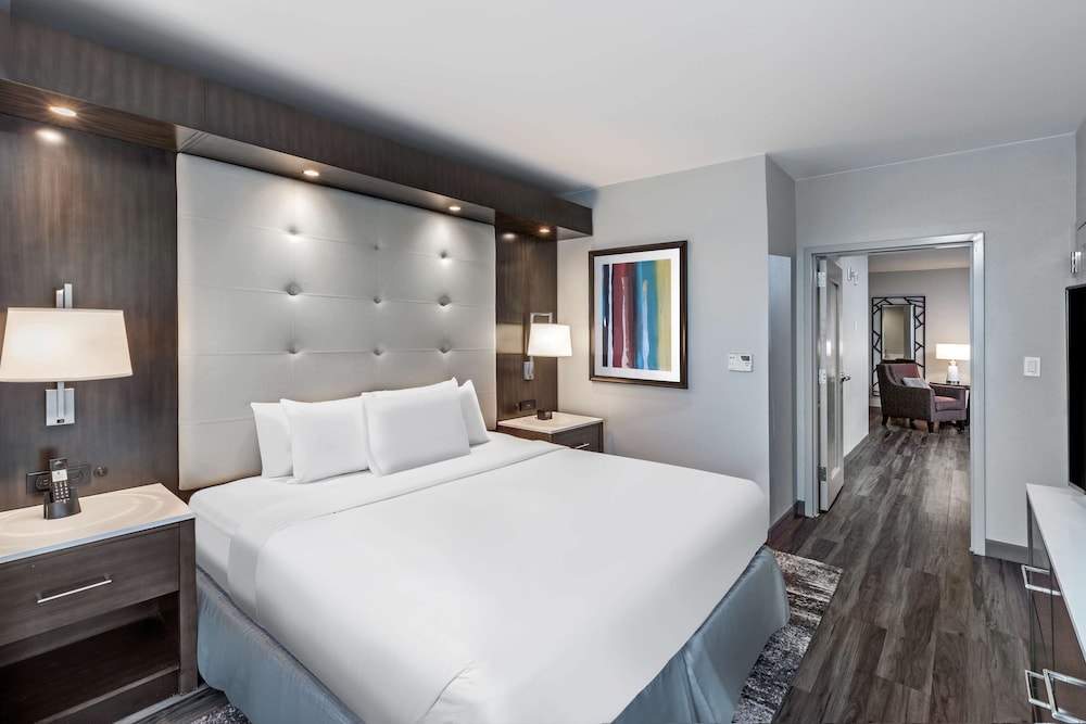 Embassy Suites by Hilton Houston Energy Corridor - photo 11