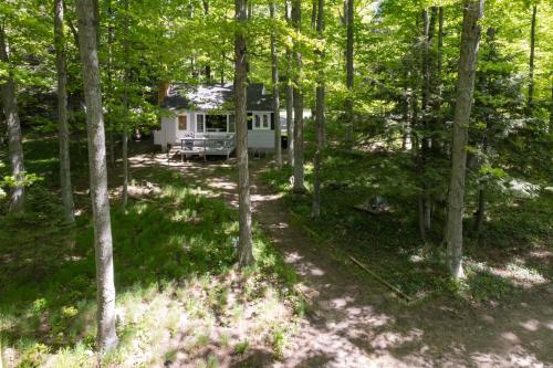 Terrapin Station 2 Cottages on Glen Lake — hotel in Ogdensburg