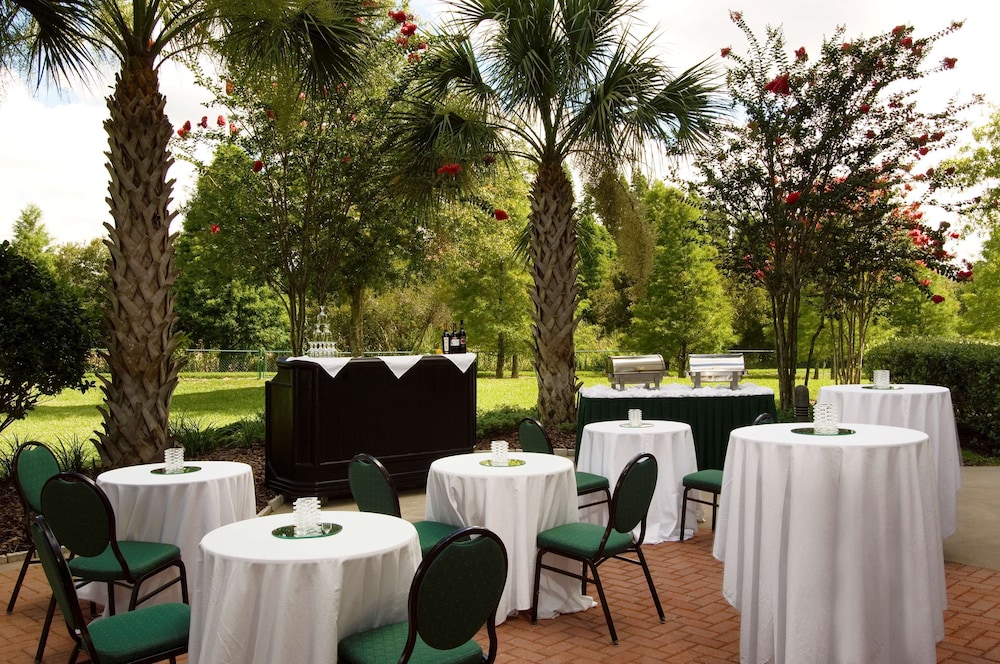 Hilton Garden Inn Tampa North Busch Gardens - photo 49