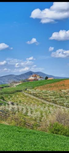 Kuća kod Tala in Sabac, Serbia