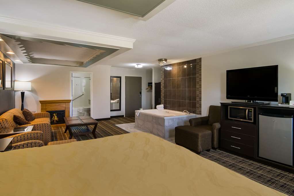Quality Inn Aurora Naperville Area - photo 25