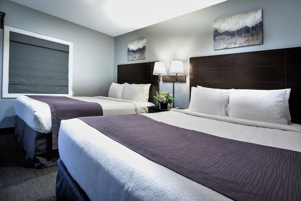 Mt Madison Inn & Suites - photo 14