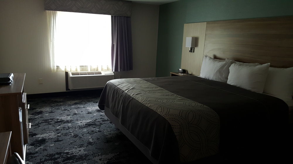 Aartpark Hotel Inn At Lewiston - photo 5