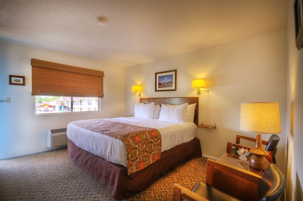 Roadrunner Lodge - photo 13