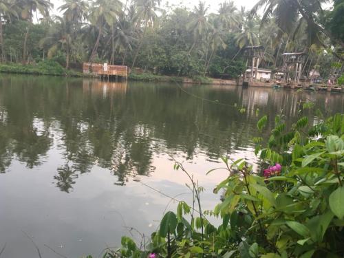 Peaceful perch — 4-Star Luxury Hotel in Kozhikode, India