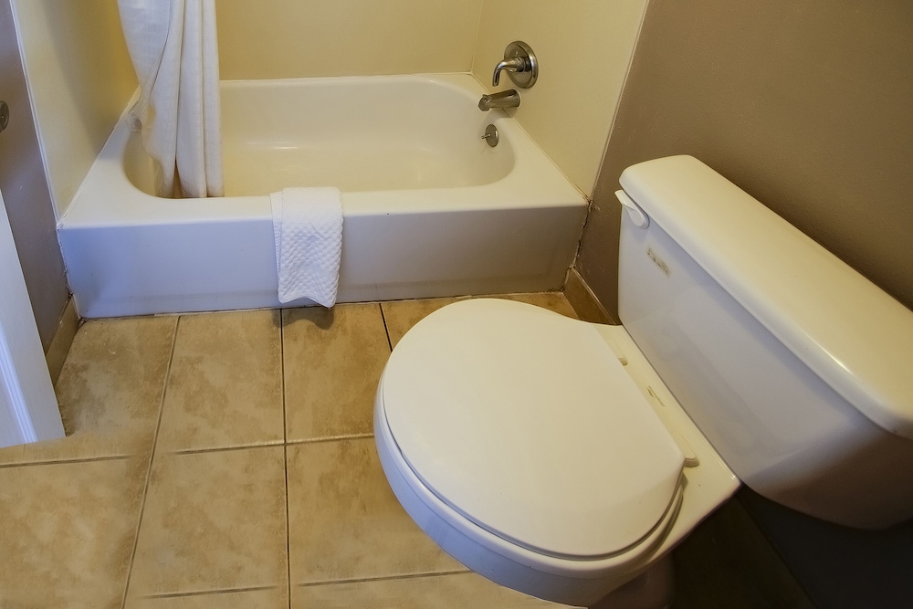 Cypress Inn & Suites Washington by OYO - photo 29
