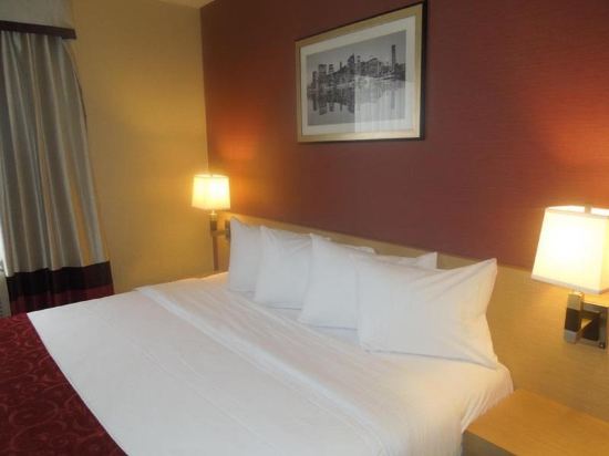 Hotel Lynx - photo 15