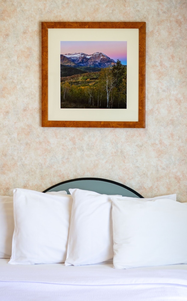 Swiss Alps Inn - photo 5