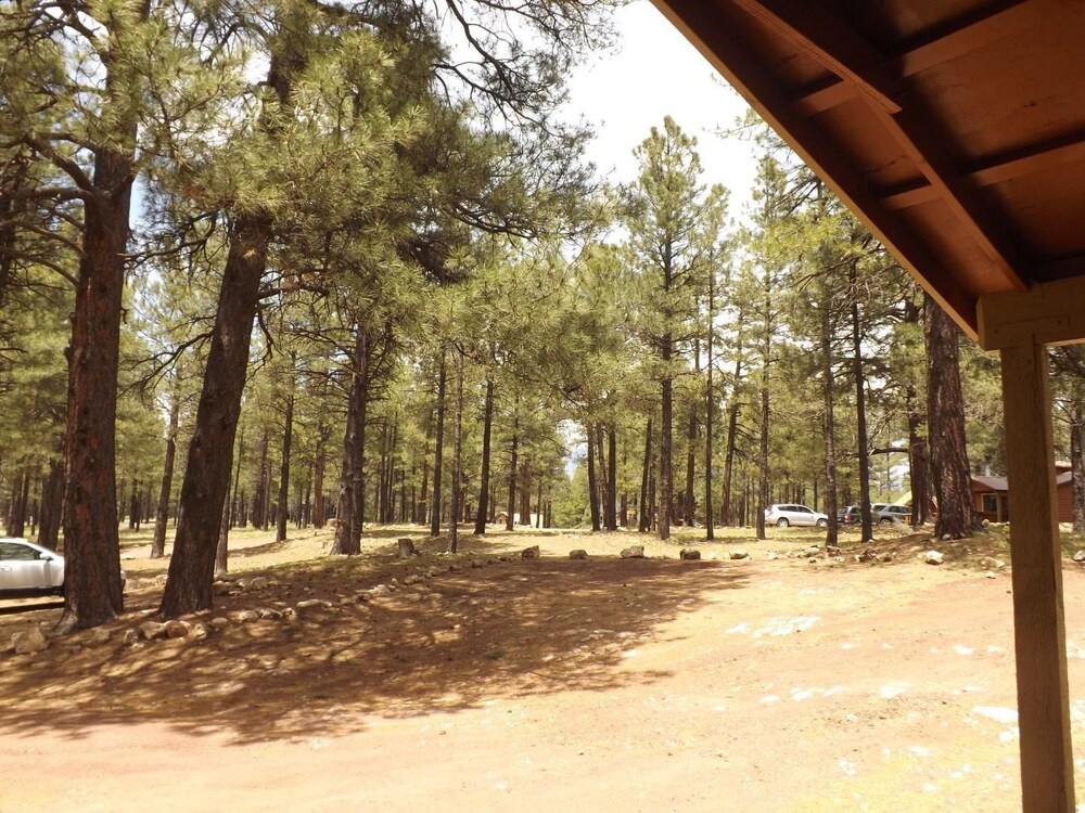 Arizona Mountain Inn and Cabins - photo 200