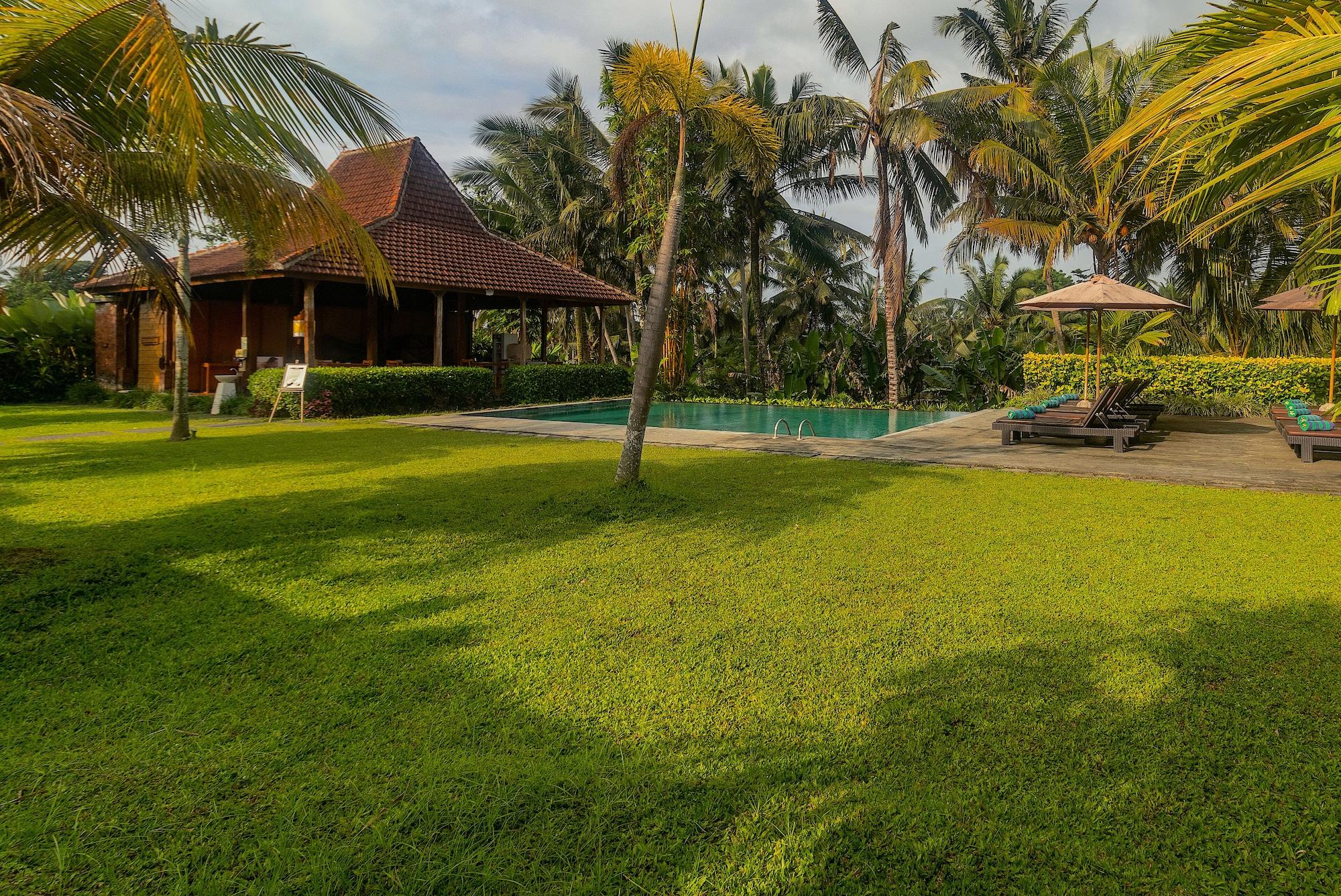 Pertiwi Bisma Ubud — Seminyak — photo 5