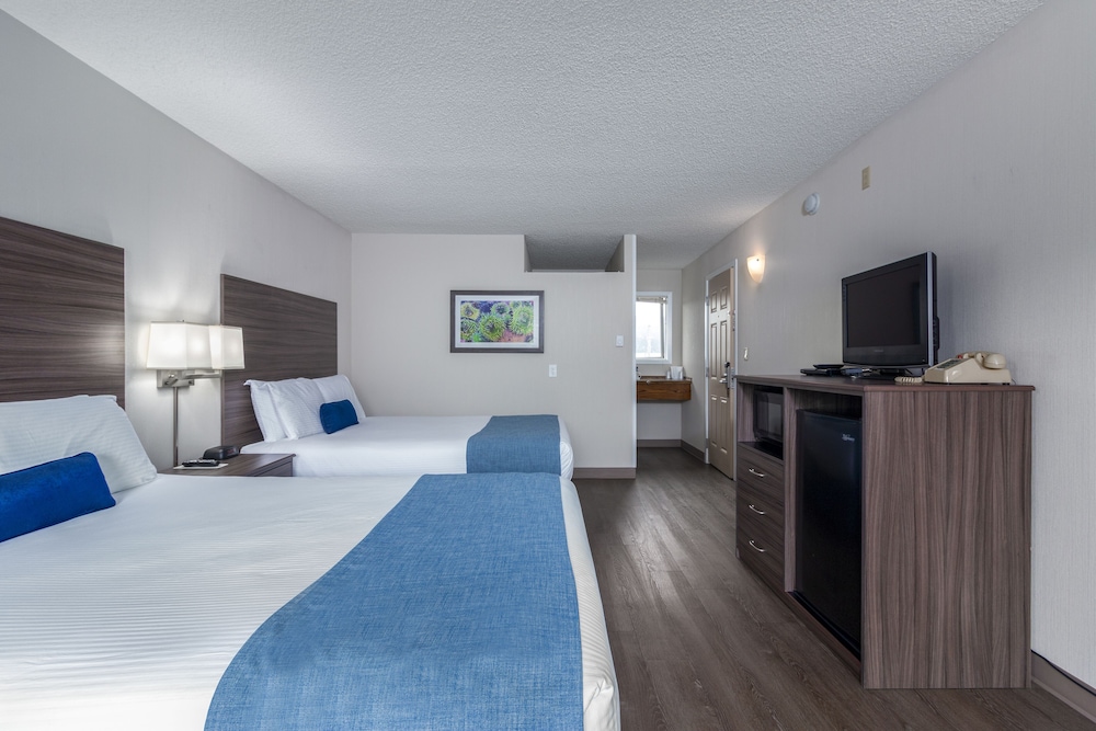 Seashore Inn on the Beach - photo 15