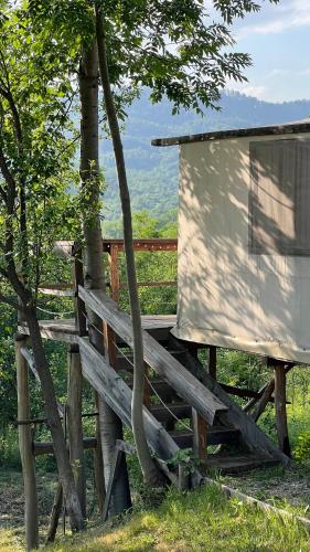 Mesteceni Glamping pet-friendly hotel Nistoresti