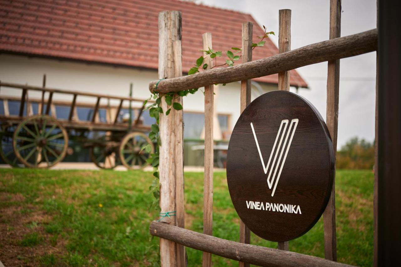 Vinea Panonika Wine & Mind Retreat in Radenci, Slovenia
