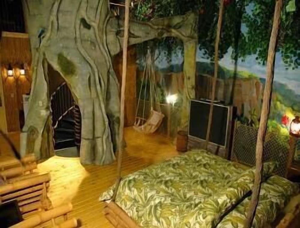 Wildwood Inn Tropical Dome & Theme Suites - photo 46