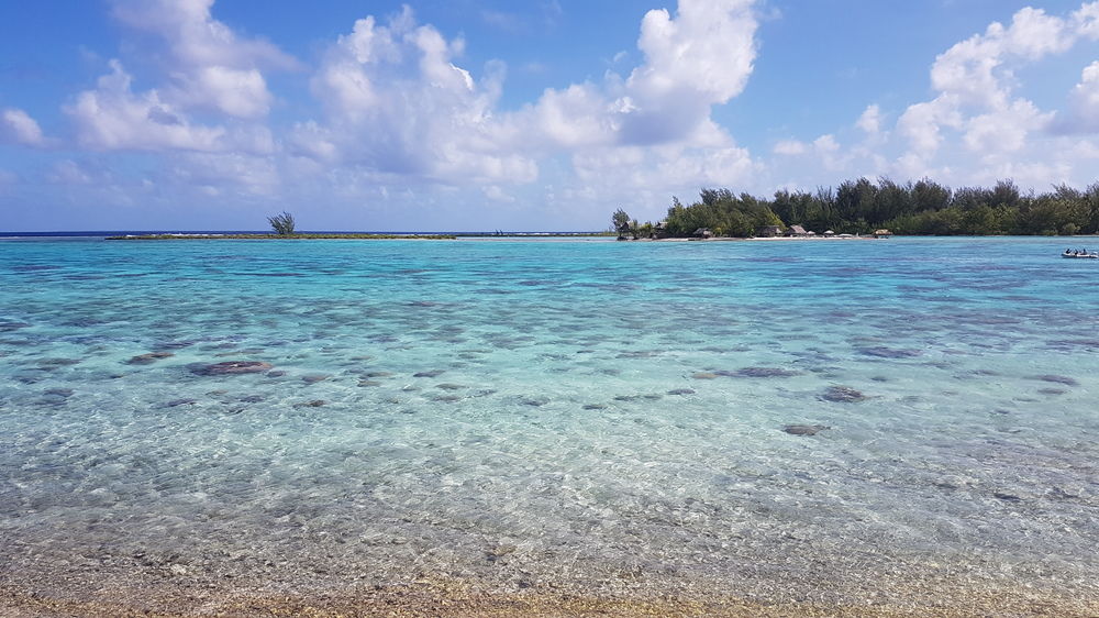 Blue Heaven Island — hotel near Bora Bora Airport