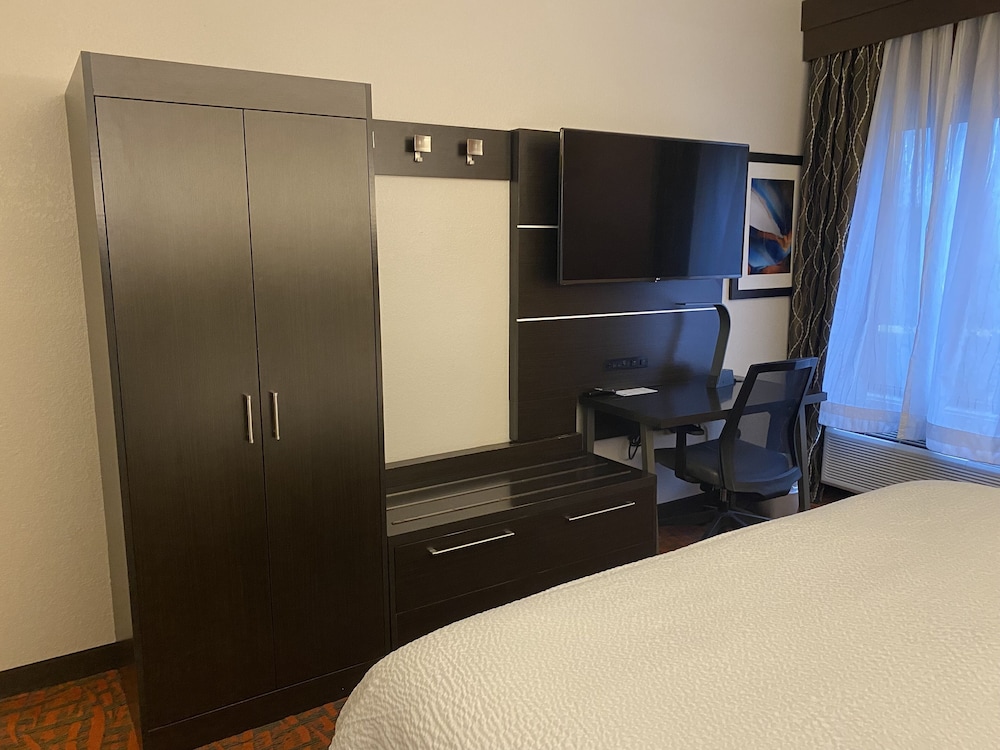 Holiday Inn Express Metropolis - photo 21