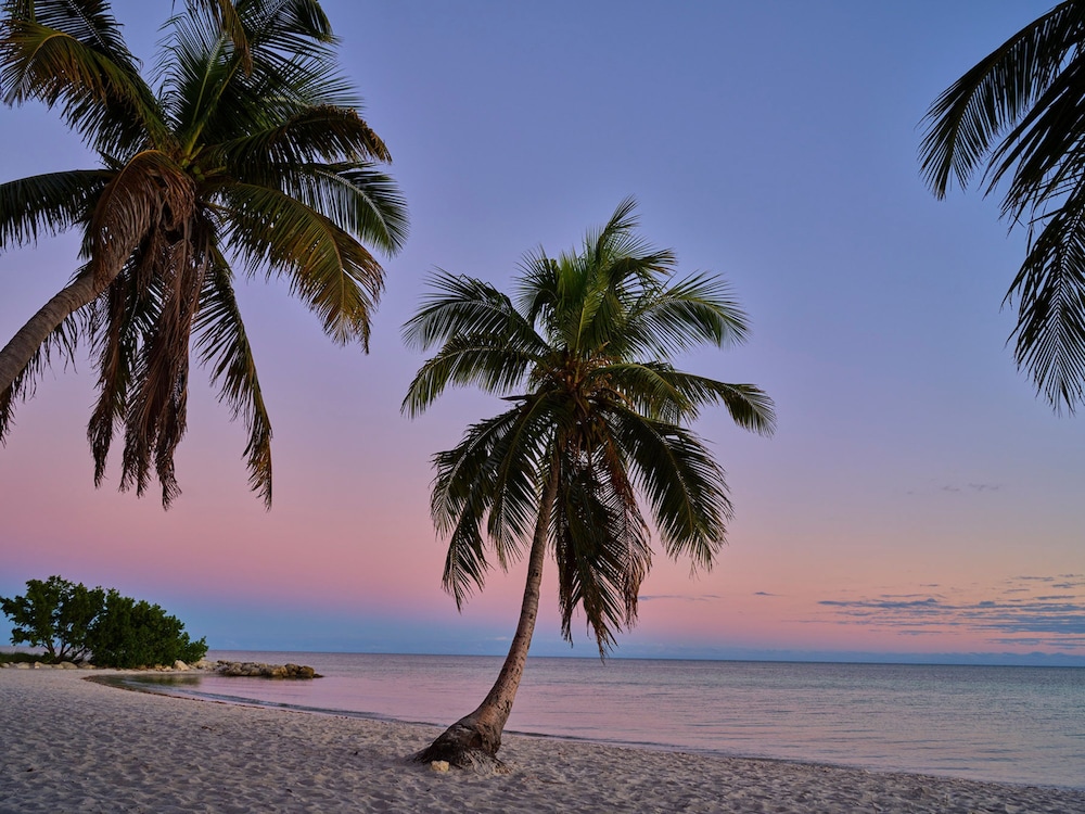 Margaritaville Beach House Key West - photo 56