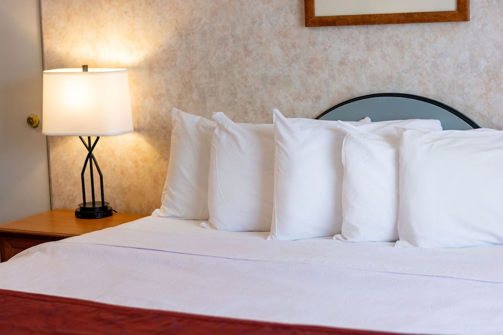 Swiss Alps Inn - photo 7