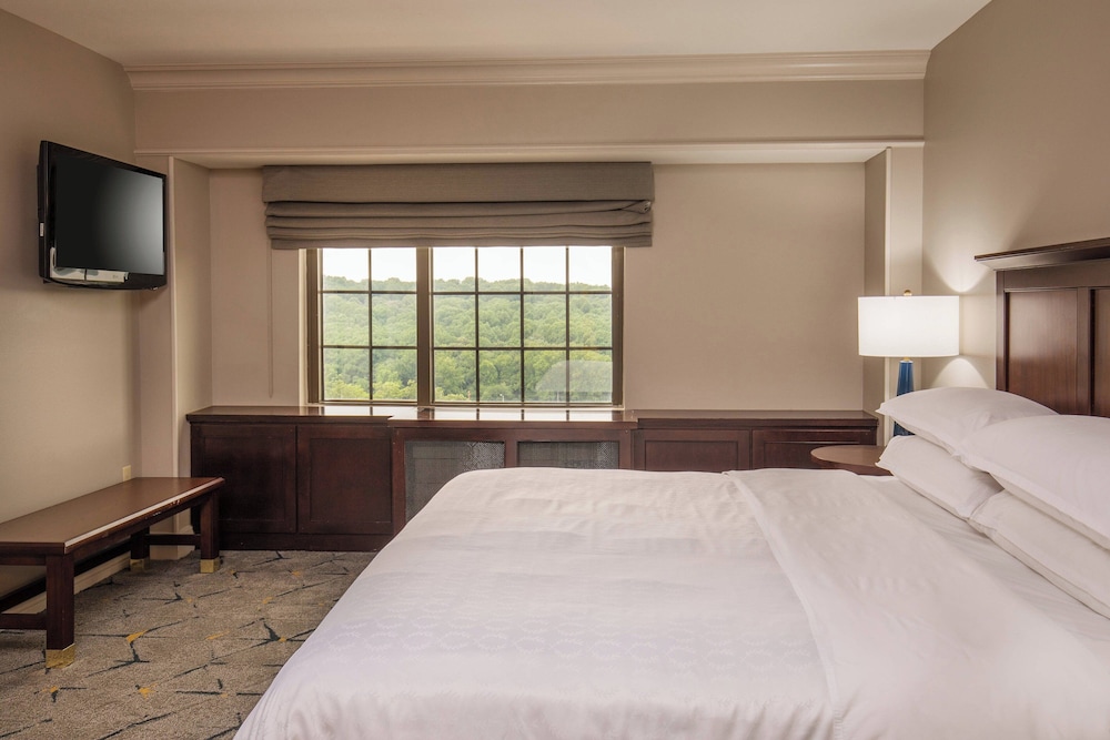 Sheraton Baltimore Washington Airport Hotel BWI - photo 14