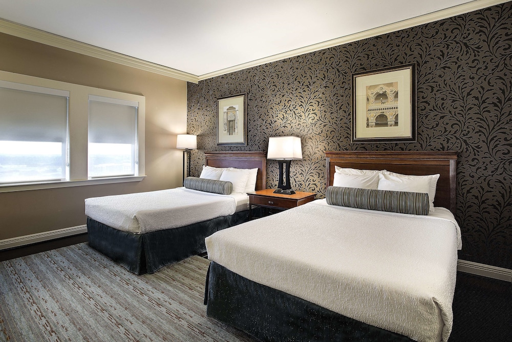 The Whitehall Houston - photo 16