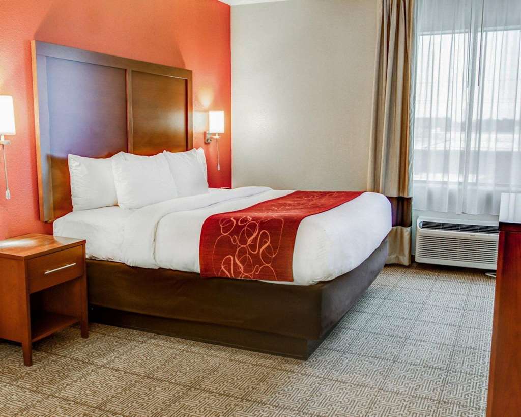 Comfort Suites Tyler South - photo 16