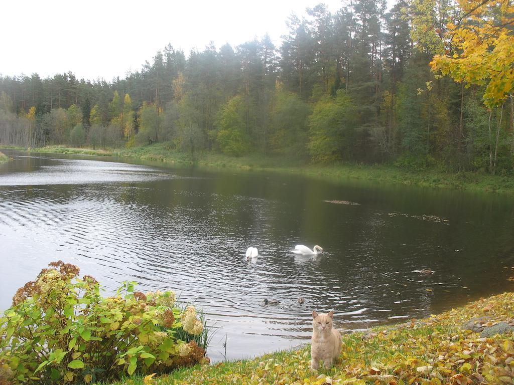 Gliemji — 4-Star Luxury Hotel in Kraslava, Latvia