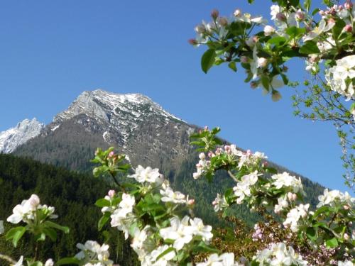 Gästehaus Eckau Ferienwohnungen — Ramsau — photo 2