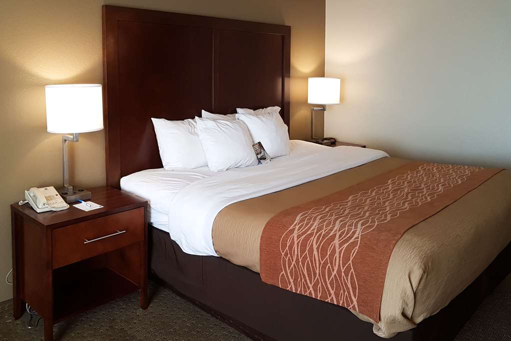 Comfort Inn I 10 West at 51st Ave - photo 12