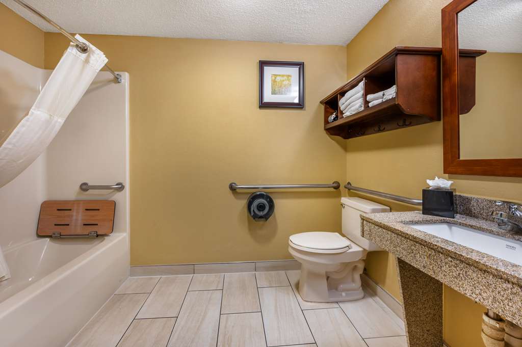 Best Western Plus Georgetown Corporate Center Hotel - photo 24