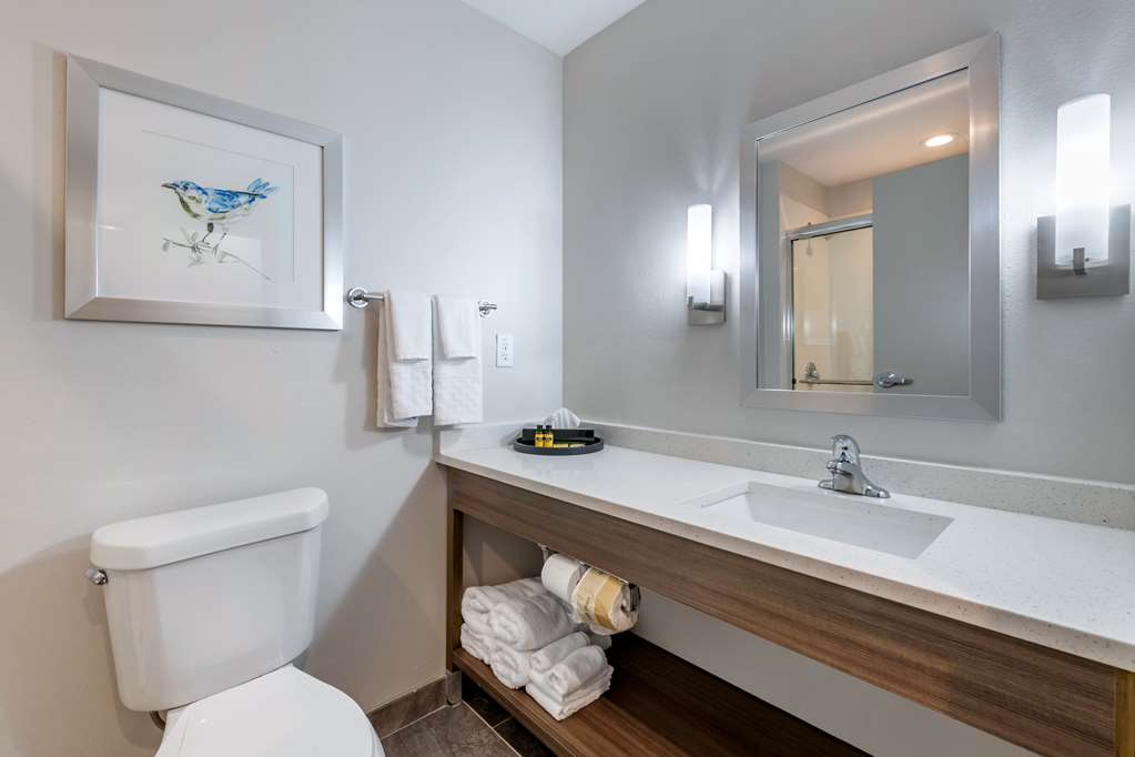 Best Western Plus Lakeland - photo 25
