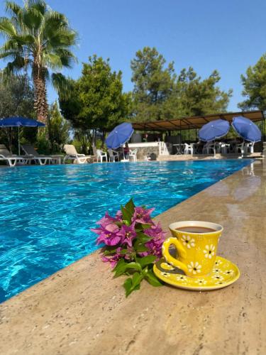 Farmside Otel - last minute hotel in Fethiye