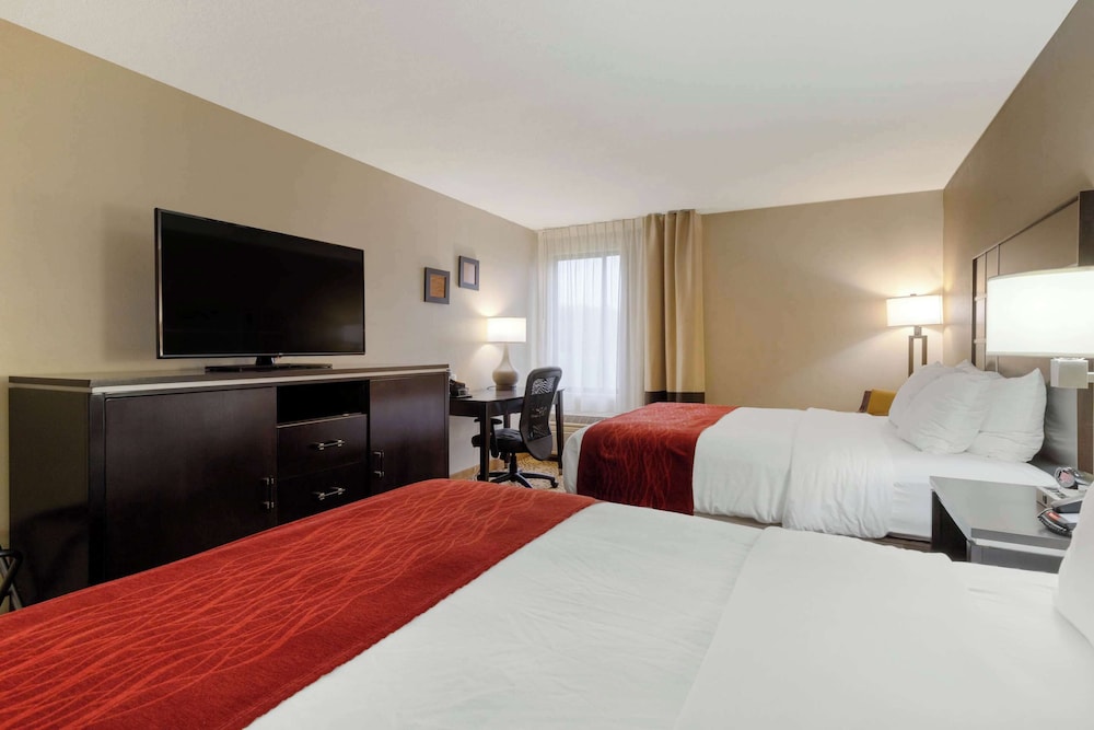 Comfort Inn North of Asheville - photo 39