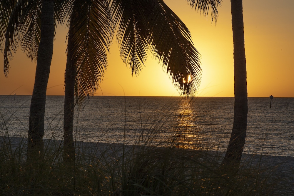 Margaritaville Beach House Key West - photo 62