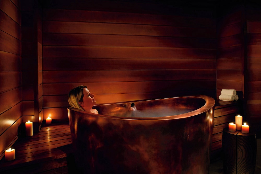 The Ritz Carlton Lake Tahoe - photo 88