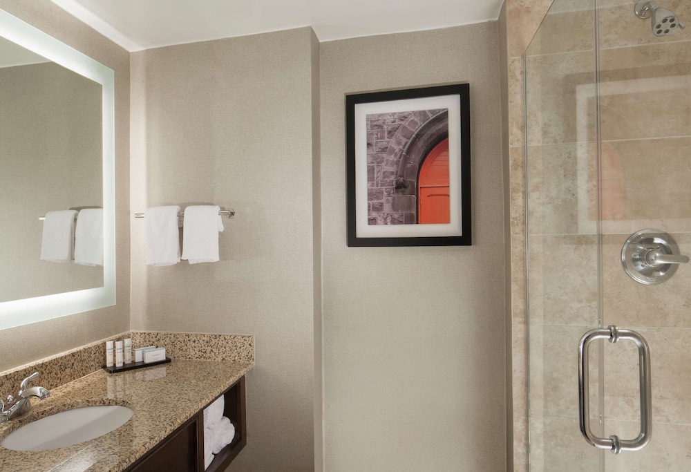 Embassy Suites by Hilton Philadelphia Airport - photo 33