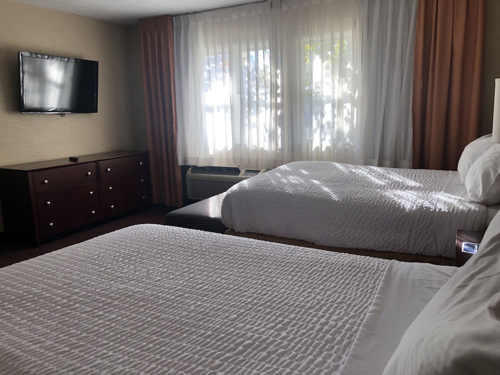 Ivy Court Inn & Suites - photo 18