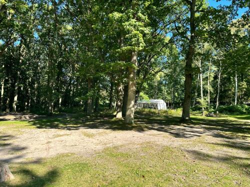 Stellplatz für ihr eigenes Wohnmobil am Ferienpark Bernstein in Dranske, Germany