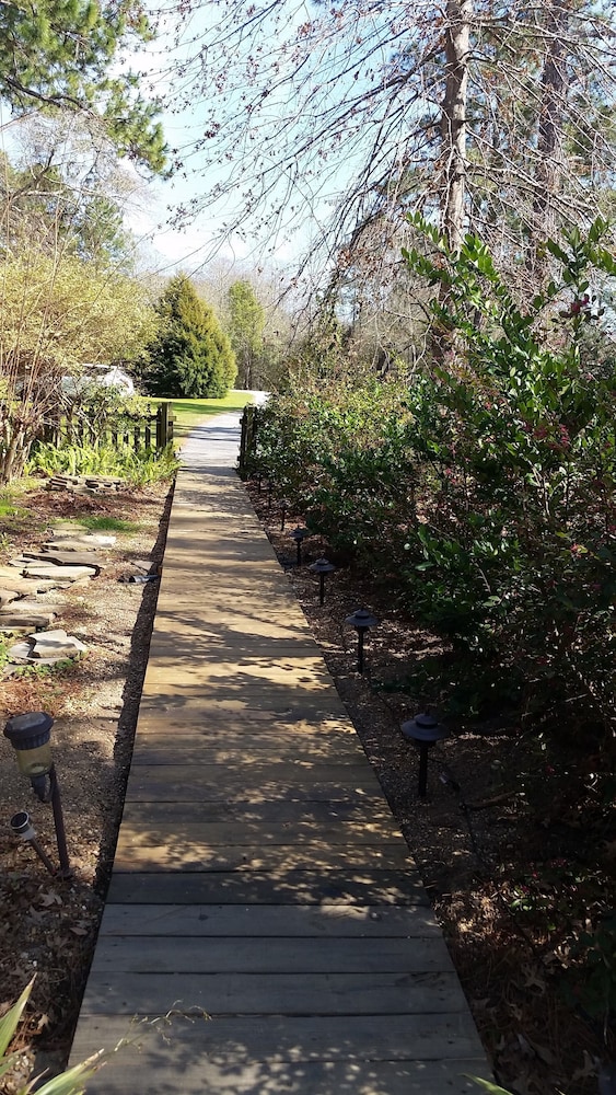 Shalom House Bed and Breakfast - photo 24