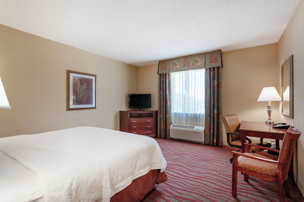 Hampton Inn & Suites Port Richey - photo 7